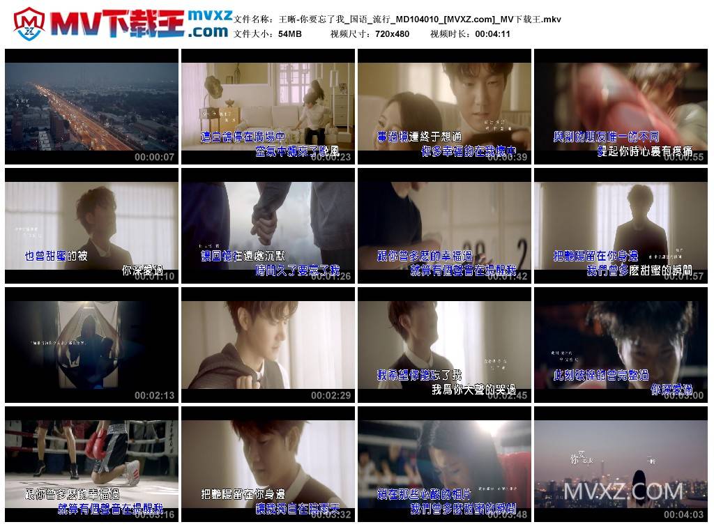 王晰-你要忘了我_国语_流行_MD104010